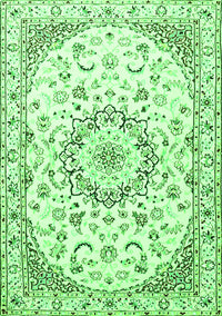 Medallion Green Traditional Rug, tr1464grn