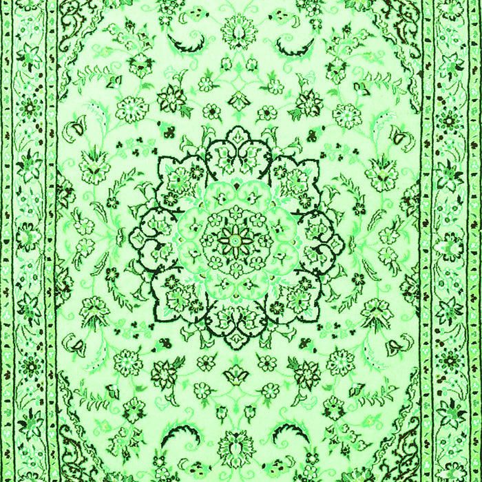 Medallion Green Traditional Rug, tr1464grn