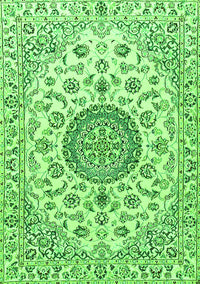 Medallion Green Traditional Rug, tr1465grn