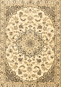 Medallion Brown Traditional Rug, tr1466brn