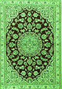 Medallion Green Traditional Rug, tr1468grn