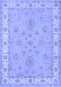 Oriental Blue Traditional Rug, tr1469blu