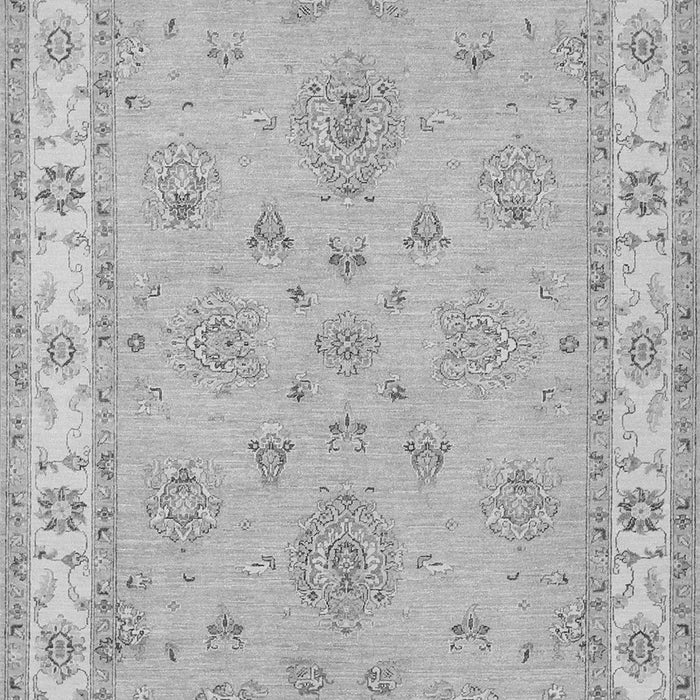 Oriental Gray Traditional Rug, tr1469gry