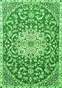 Medallion Green Traditional Rug, tr1470grn