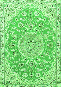 Medallion Green Traditional Rug, tr1471grn