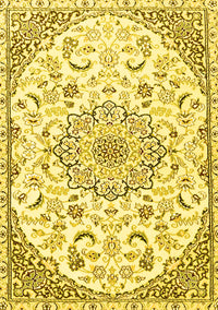 Medallion Yellow Traditional Rug, tr1472yw