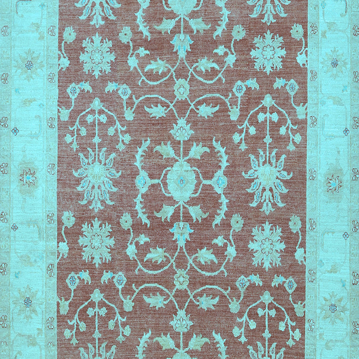 Oriental Light Blue Traditional Rug, tr1476lblu