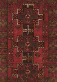 Persian Brown Traditional Rug, tr1478brn