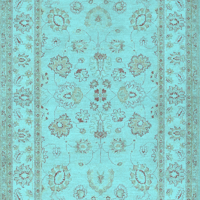 Oriental Light Blue Traditional Rug, tr1479lblu
