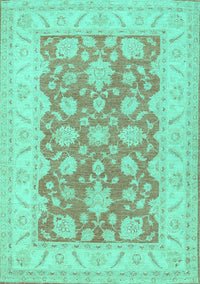 Oriental Turquoise Traditional Rug, tr1480turq