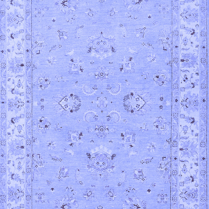 Oriental Blue Traditional Rug, tr1482blu