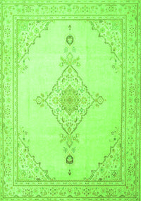 Persian Green Traditional Rug, tr1487grn