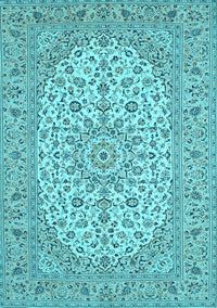 Medallion Light Blue Traditional Rug, tr148lblu