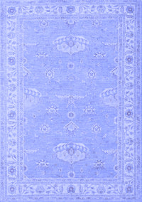 Oriental Blue Traditional Rug, tr1494blu