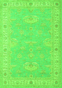 Oriental Green Traditional Rug, tr1494grn