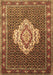 Medallion Brown Traditional Rug, tr1495brn