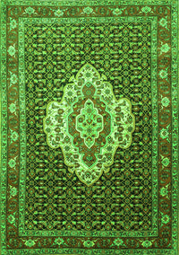 Medallion Green Traditional Rug, tr1495grn