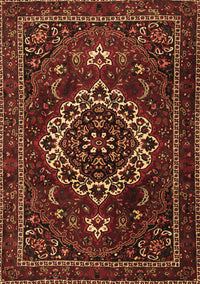 Medallion Brown Traditional Rug, tr1498brn