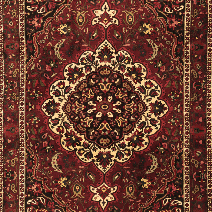 Machine Washable Medallion Brown Traditional Rug, wshtr1498brn