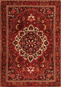 Medallion Orange Traditional Rug, tr1498org