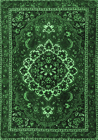 Medallion Emerald Green Traditional Rug, tr1498emgrn