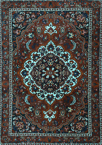 Medallion Light Blue Traditional Rug, tr1498lblu