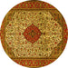 Round Machine Washable Persian Yellow Traditional Rug, wshtr1499yw