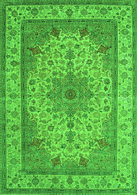 Medallion Green Traditional Rug, tr149grn