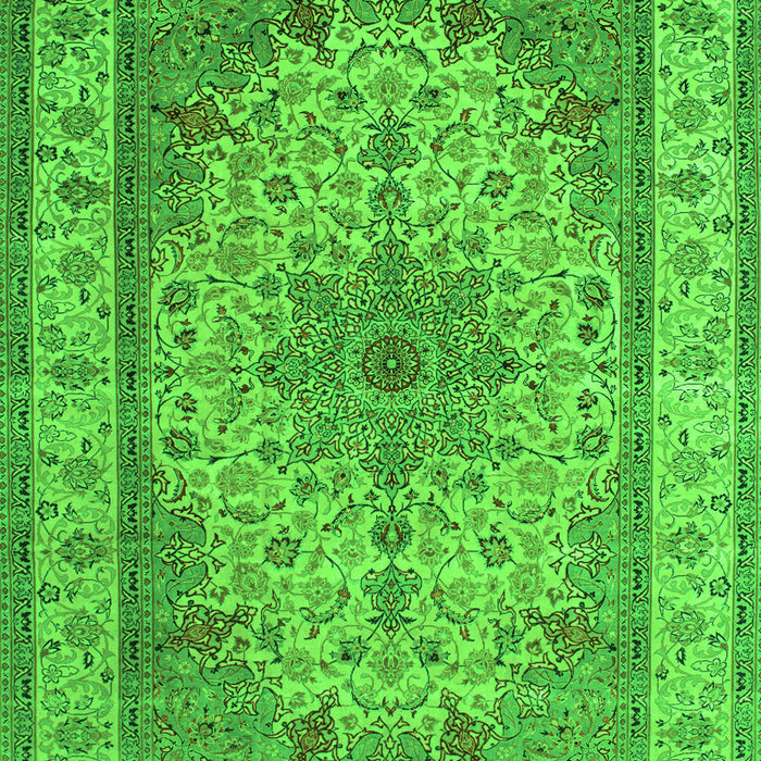 Medallion Green Traditional Rug, tr149grn