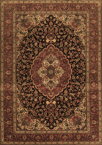 Medallion Brown Traditional Rug, tr14brn