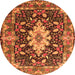 Square Persian Orange Traditional Rug, tr1500org