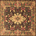 Square Machine Washable Persian Brown Traditional Rug, wshtr1500brn