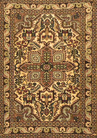 Persian Brown Traditional Rug, tr1501brn