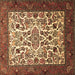 Square Machine Washable Persian Brown Traditional Rug, wshtr1502brn