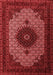 Medallion Red Traditional Area Rugs