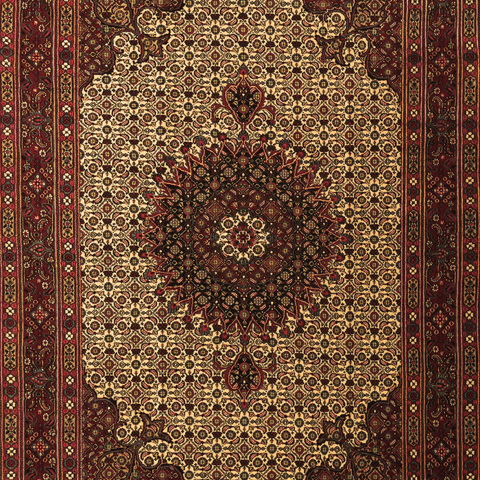 Machine Washable Medallion Brown Traditional Rug, wshtr1504brn