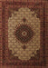 Medallion Brown Traditional Rug, tr1504brn