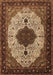 Medallion Brown Traditional Rug, tr1505brn