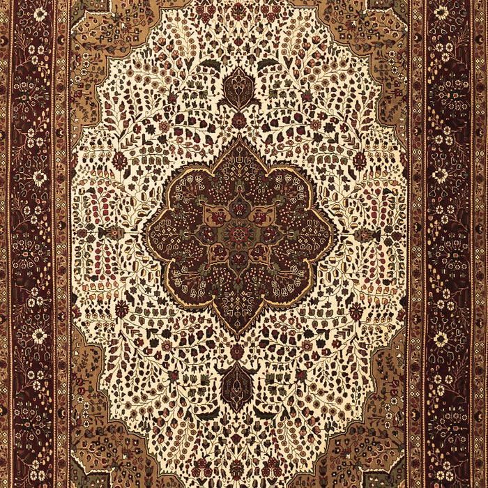 Machine Washable Medallion Brown Traditional Rug, wshtr1505brn