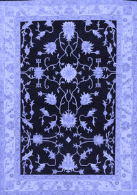 Persian Blue Traditional Rug, tr1509blu