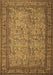 Persian Brown Traditional Rug, tr150brn