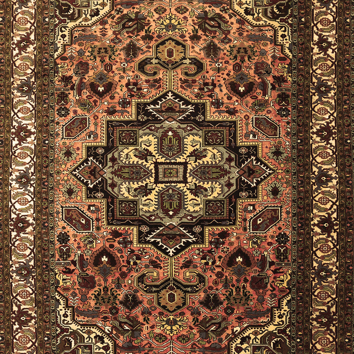 Medallion Brown Traditional Rug, tr1510brn