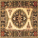 Square Persian Brown Traditional Rug, tr1512brn