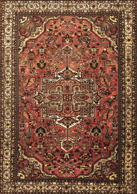 Medallion Brown Traditional Rug, tr1514brn