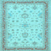 Square Oriental Light Blue Traditional Rug, tr1517lblu