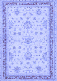 Oriental Blue Traditional Rug, tr1517blu