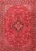 Medallion Red Traditional Area Rugs