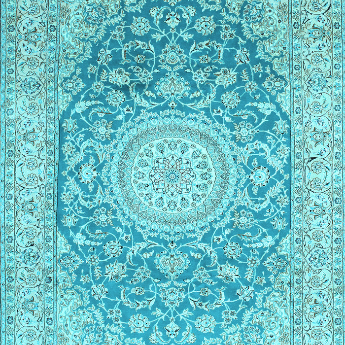 Medallion Light Blue Traditional Rug, tr151lblu