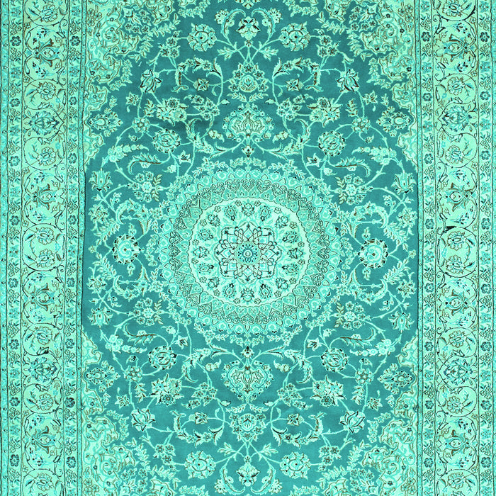 Medallion Turquoise Traditional Rug, tr151turq