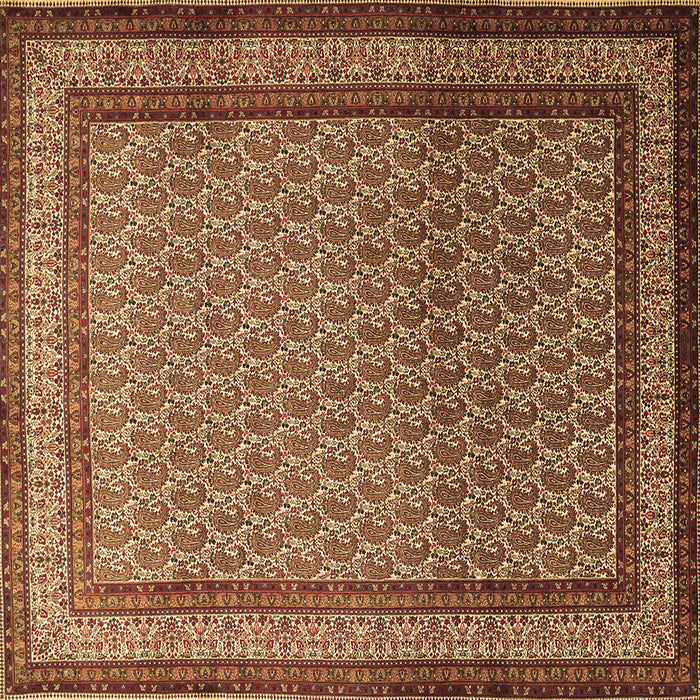 Square Persian Brown Traditional Rug, tr1521brn